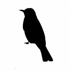トップ100 鳥 イラスト シルエット フリー ただのディズニー画像