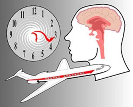 ¿Relojes biológicos o Ritmos circadianos?