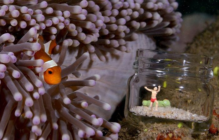 Kumpulan Foto Aneh & Unik Dari Kehidupan Di Aquarium