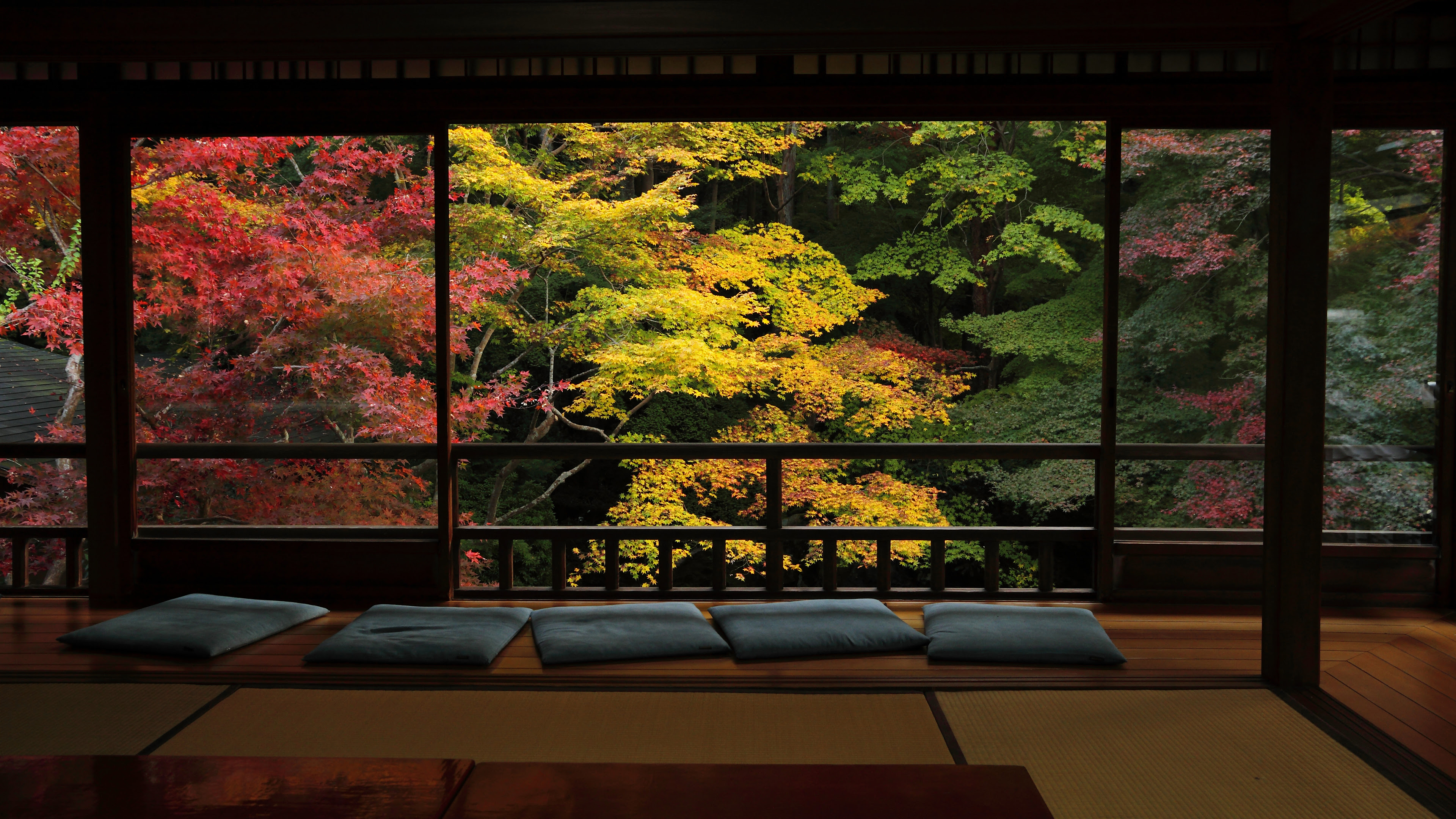 すべての美しい花の画像 上デスクトップ Pc 壁紙 4k