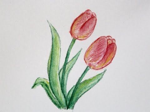  Easy Flower Drawings In Pencil With Colour - kpfitmama