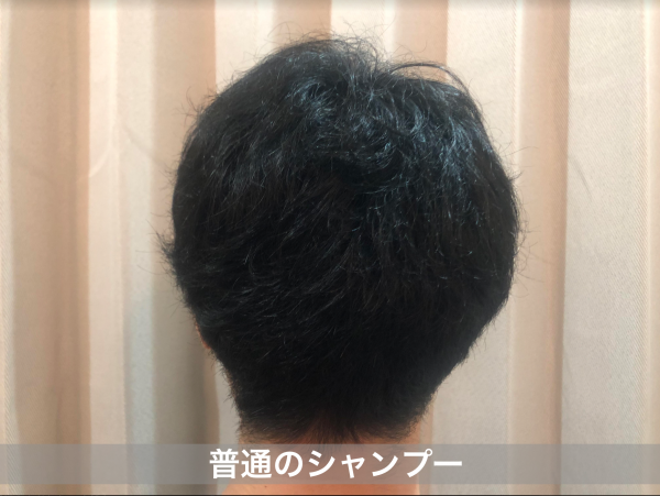 トップ100髪の毛 パサパサ メンズ 自由 髪型 コレクション