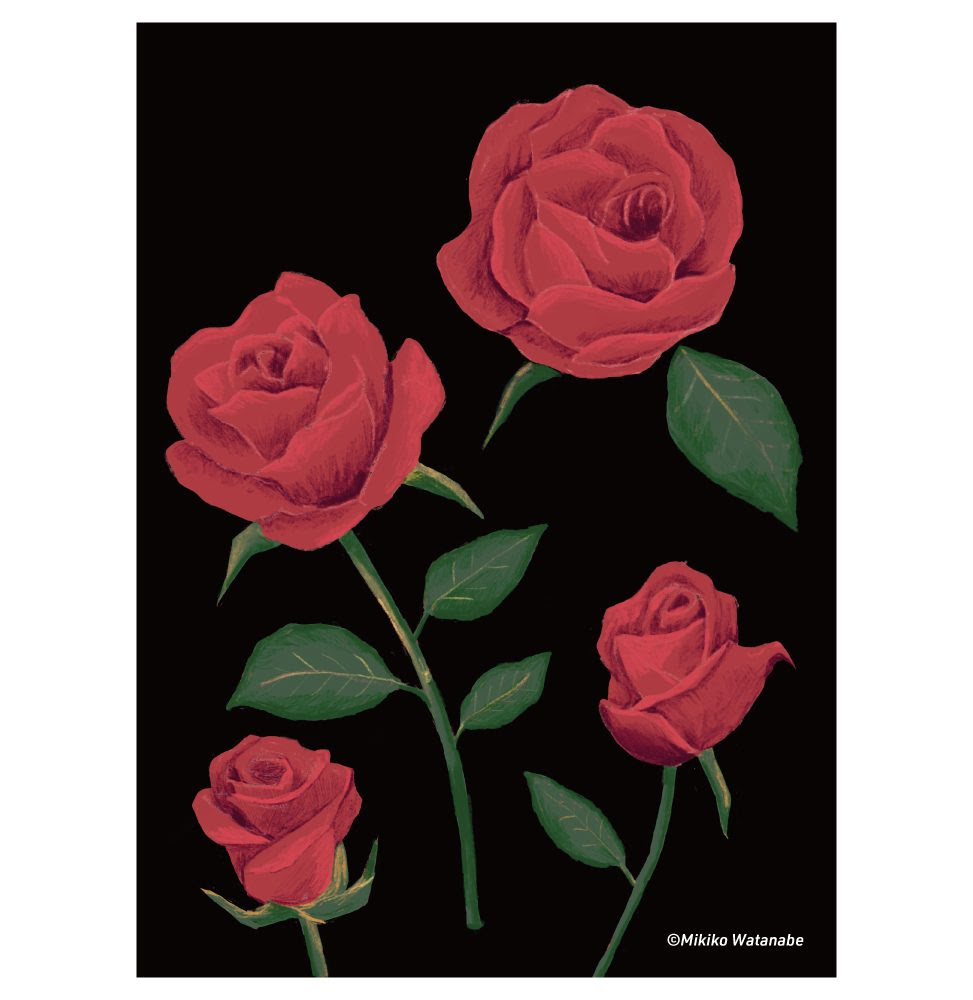 最も人気のある イラスト 薔薇 写真素材 フォトライブラリー