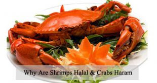 According to shiite religious resources regarding halal and haram meat, there are general rulings and numerous standards; Halal Archives Ijtihad Network