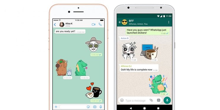 Cara Bikin Website Whatsapp