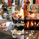 Vedic New Year