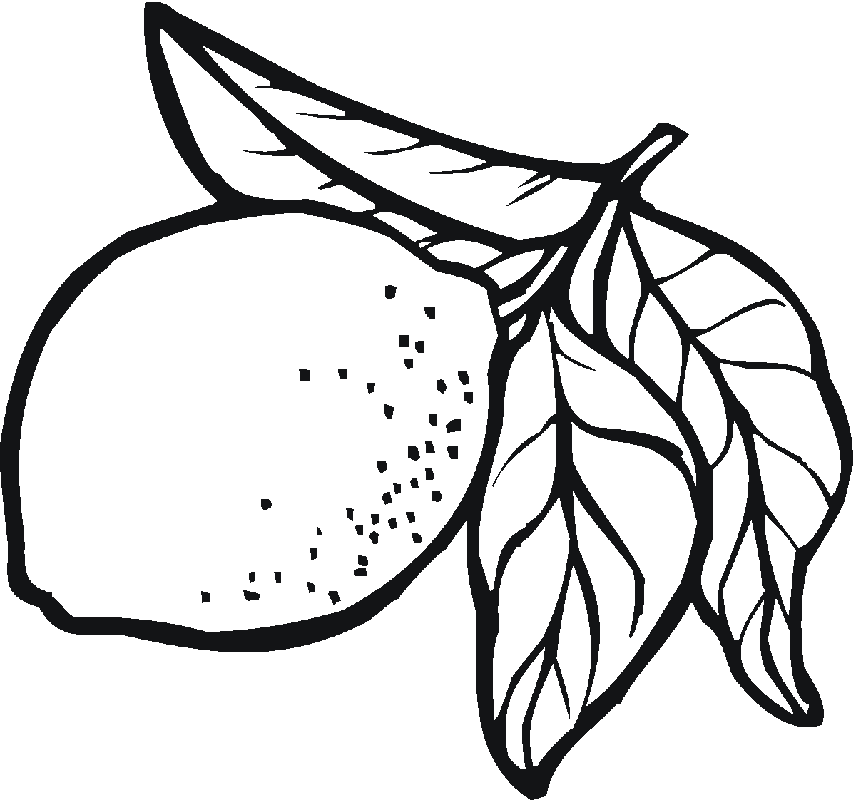 Color online with this game to color food coloring pages and you will be able to share and to create your own gallery online. Lemon Coloring Page Clip Art Library