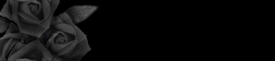 黒薔薇 壁紙 無料のhd壁紙 Joskabegami
