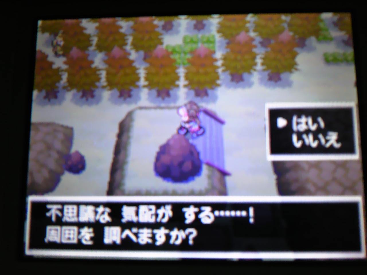 ここへ到着する ポケモン Bw 海底 遺跡 ルギア
