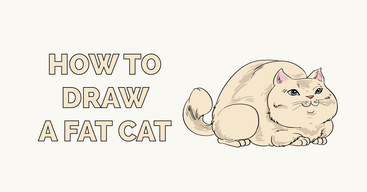 Fat Cat Drawing Simple
