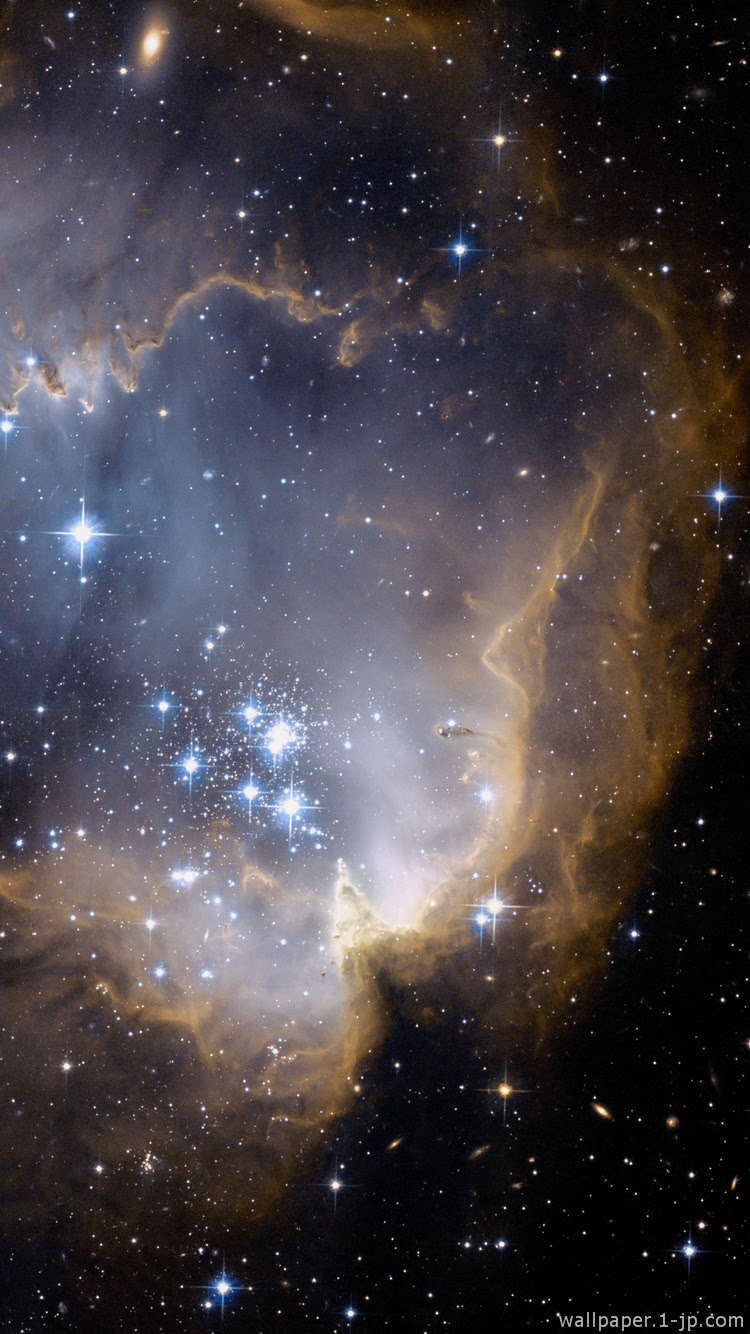 最新壁紙 スマホ 宇宙 最高の花の画像