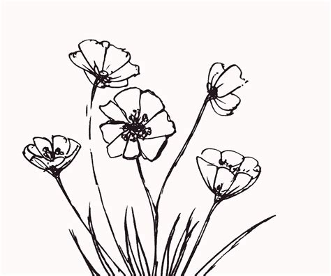 Gambar Bunga Tulip Animasi Hitam Putih - Gambar Animasi Keren
