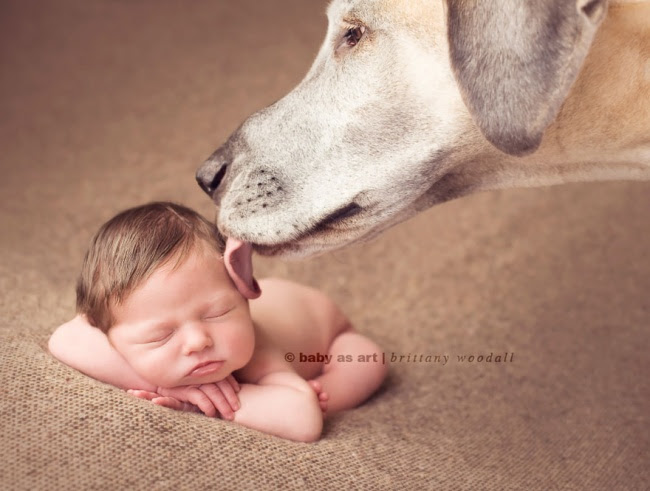 http://s.fishki.net/upload/post/201412/02/1339454/10381260-r3l8t8d-650-small-babies-children-big-dogs-10__880.jpg