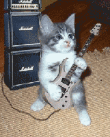 Je Voulais Le Plus Chat Qui Chante Joyeux Anniversaire 42