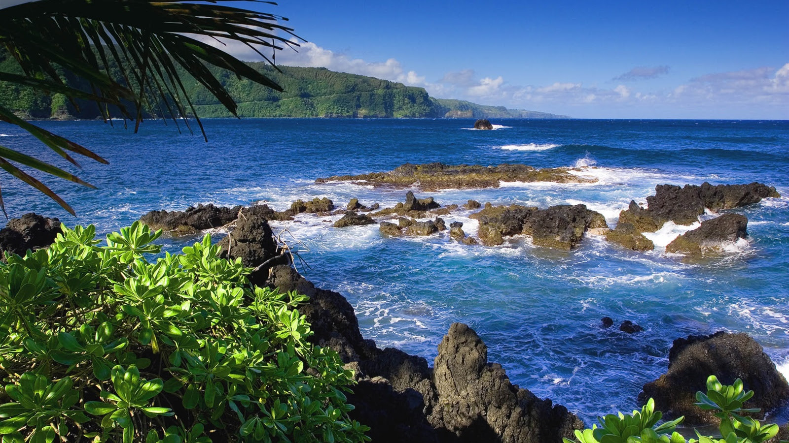 年の最高 Hawaii 壁紙 高品質の壁紙のhd壁紙