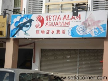 Kami menyediakan aquarium, filter aquarium, peralatan kolam. Setia Alam Aquarium Setia Alam Business Setia City Mall News And More