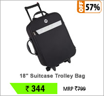 Suitcase 18