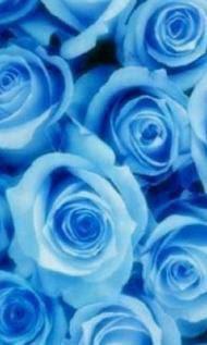 最も共有された 青い花 壁紙 Iphone 青い花 壁紙 Iphone Gambarsaego0