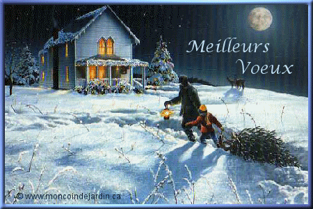Carte De Vardeux Carte De Voeux 19 Gif Gratuite