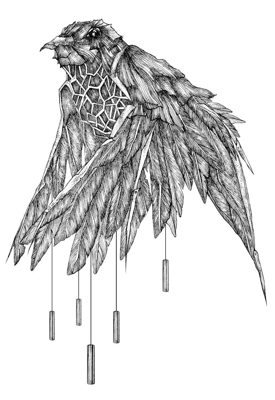 無料イラスト画像 75 鳥 イラスト 白黒 リアル