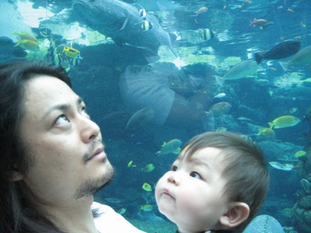 美しい花の画像 最新のhd櫻井 敦司 子供 画像