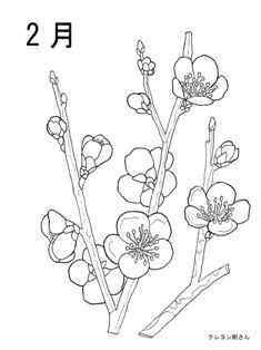 新鮮な花 塗り絵 2月 最高の花の画像