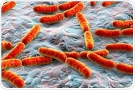 Does the Microbiome Interact with the Human Endocrine System?