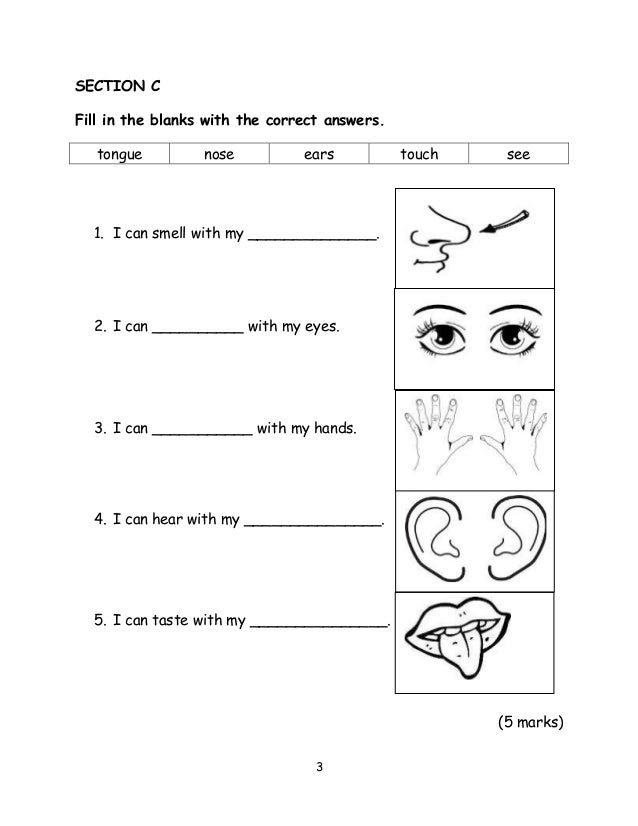 Soalan Bahasa Inggeris Tadika 5 Tahun - J Kosong w