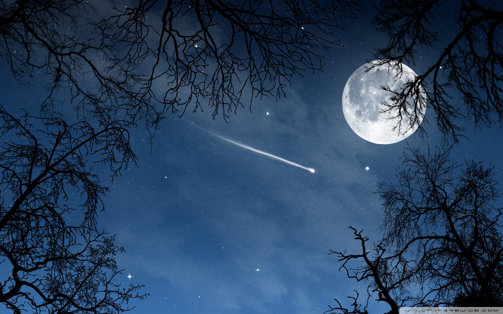 Here you can find the best stars wallpapers uploaded by our community. Shooting Star Ultra Hd Desktop Background Wallpaper For 4k Uhd Tv Tablet Smartphone