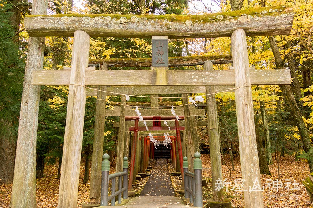 75 壁紙 御 金 神社 待ち受け 最高の花の画像