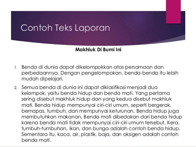 Contoh Laporan Pengamatan Kelas 6.Contoh Laporan 