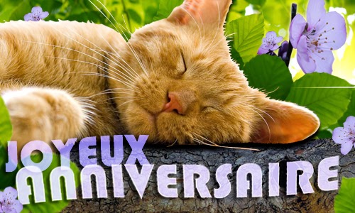 Carte Danniversaire Gratuite A Imprimer Chat Edris