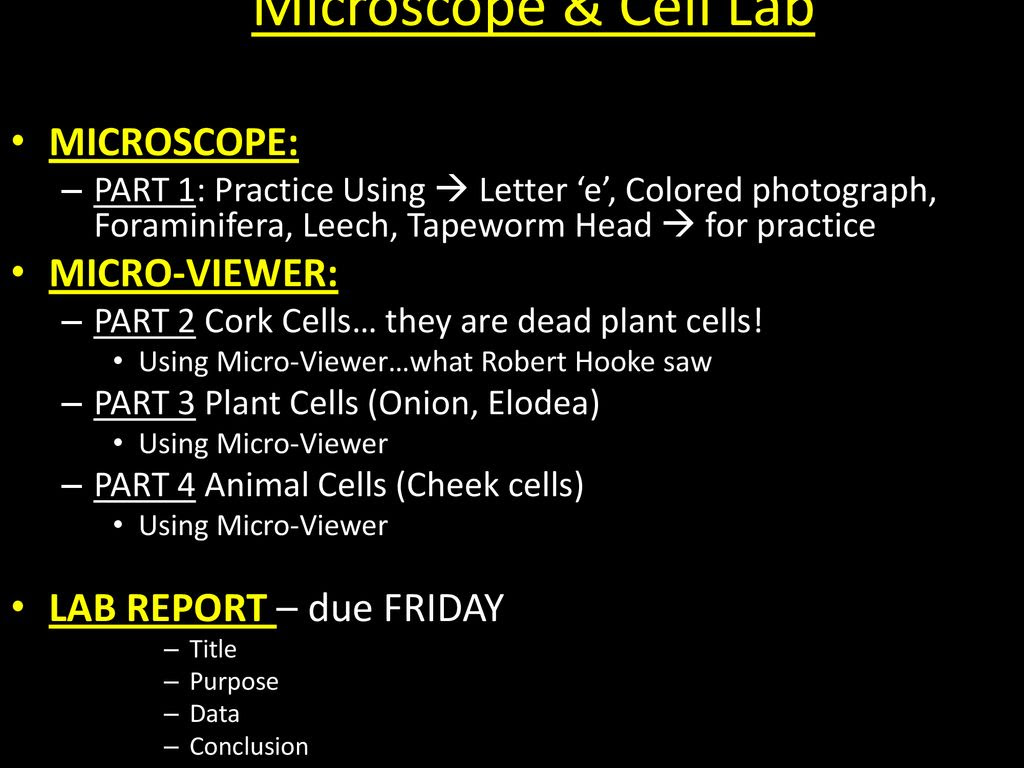 The animal cell structure is the most prominent in human cheek cells. Get On Task I Will Pass Minisum 2 On Cells Finish The Cell Lab Ppt Download