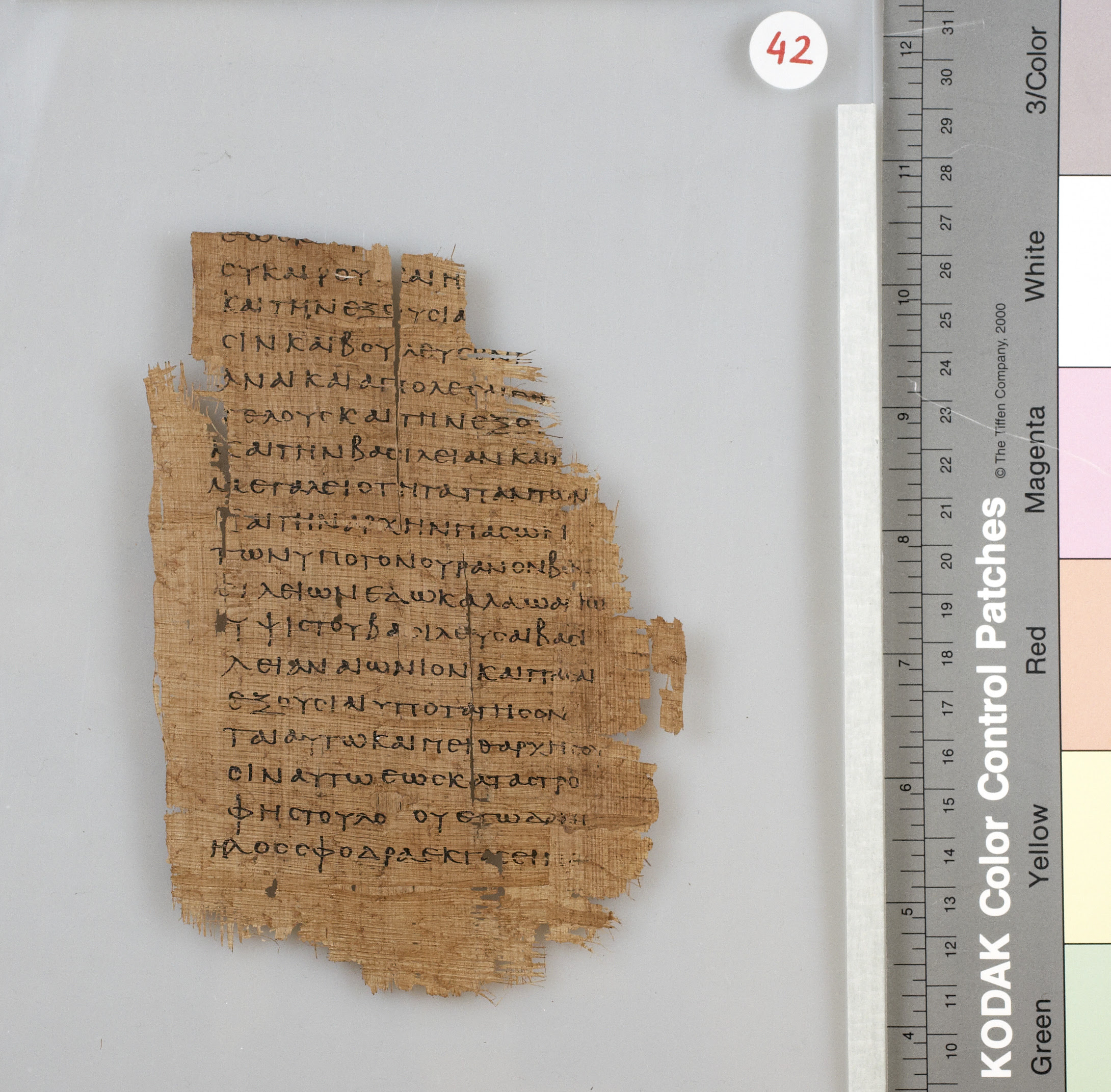 dissertation ezekiel