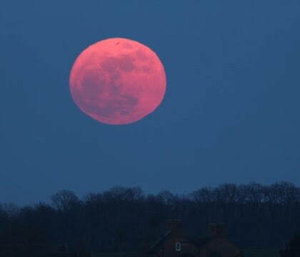 Image result for LUNA SANGERIE