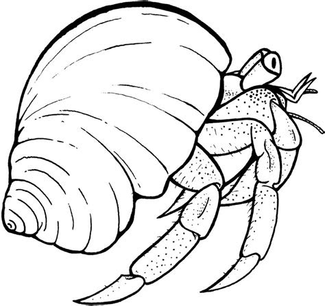 Free Download hermit crab coloring page Audio CD PDF - Small Great