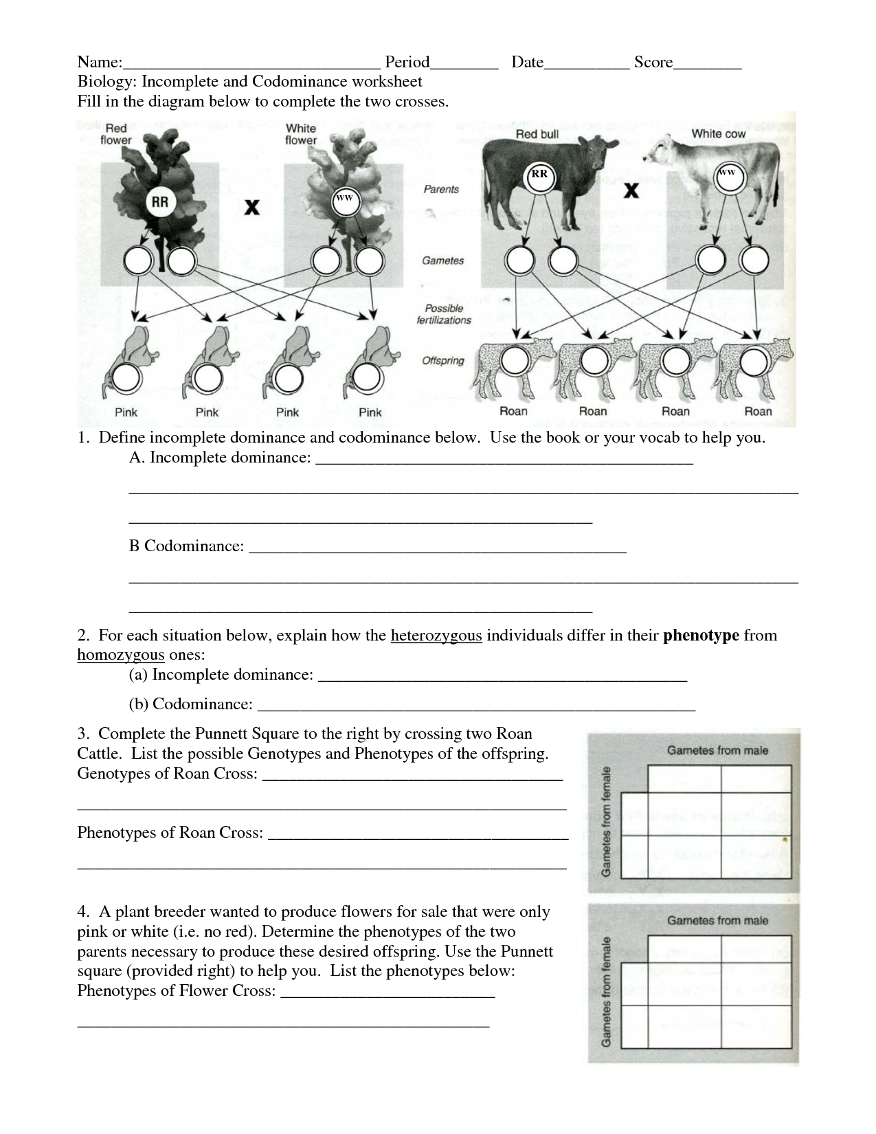 Work power and energy worksheets answers. Unit 8 Mendelian Genetics