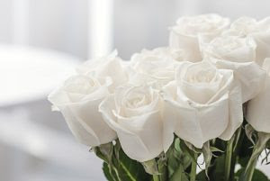 すべての花の画像 Hd限定白い 薔薇 待ち受け 画像
