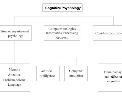 Cognitive psychology