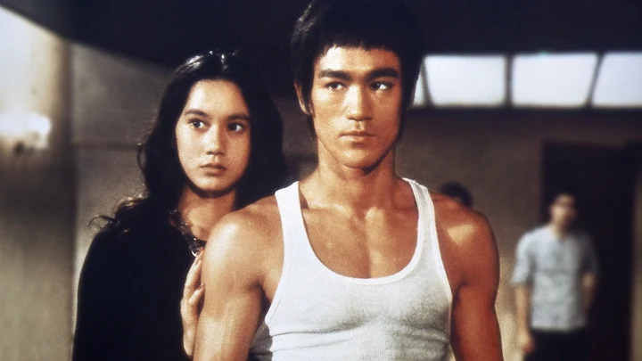 The Way Of The Dragon Movies On Google Play