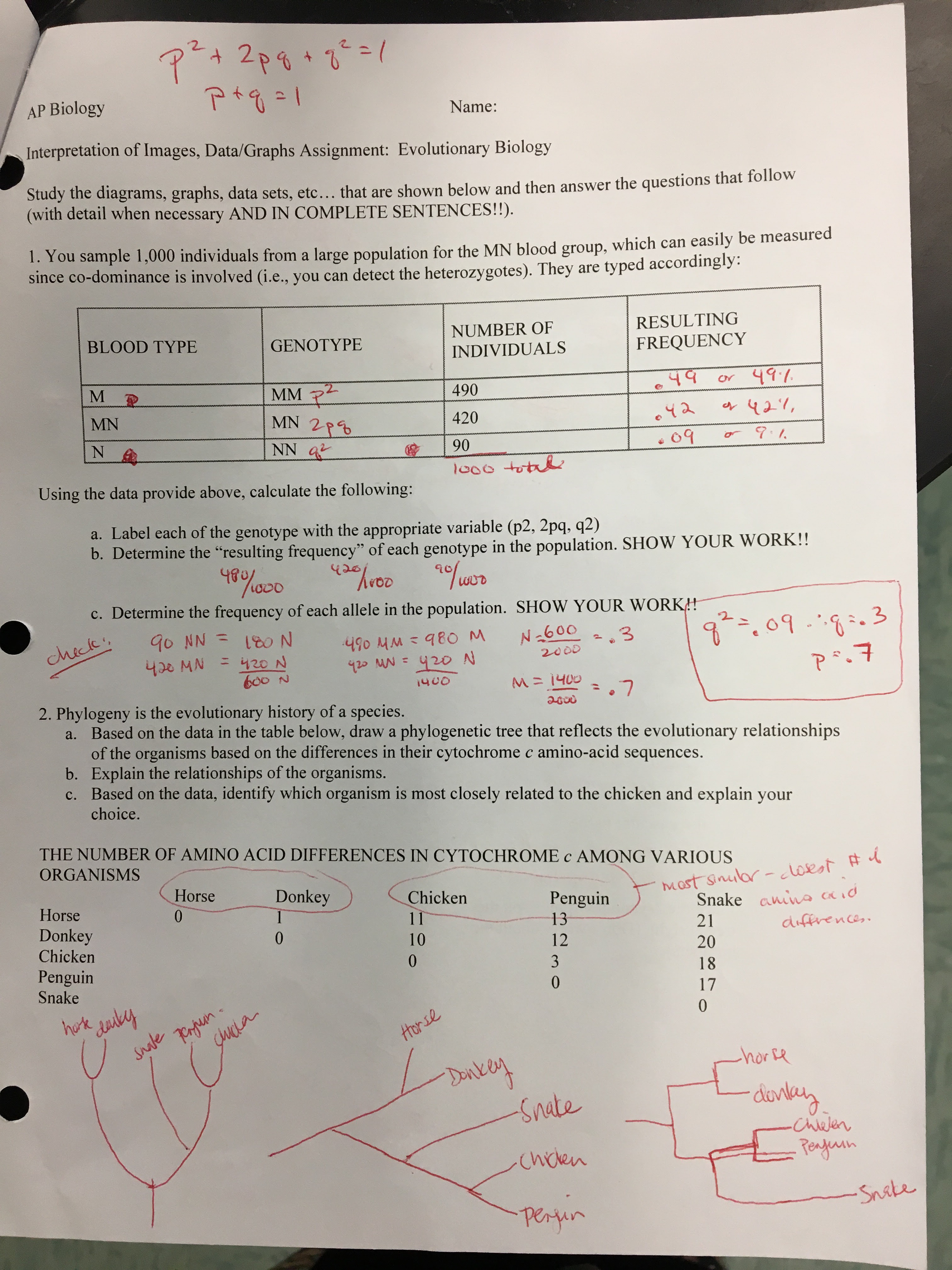 We did not find results for: Pogil Activities For Ap Biology Answer Key Fuelhandler