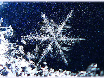 壁紙 雪の結晶 画像 289334-雪の結晶 画像 壁紙