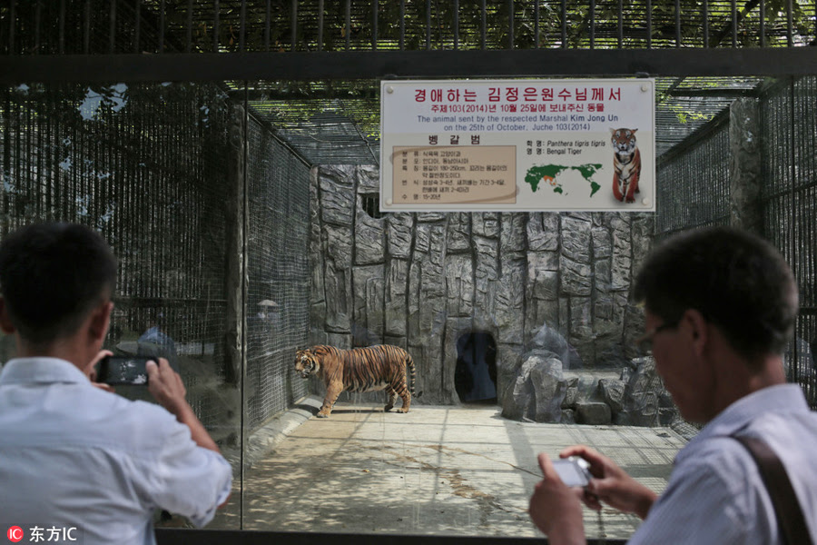 We did not find results for: Dprk S Renovated Central Zoo Attracts Thousands Of Visitors Every Day 6 Chinadaily Com Cn