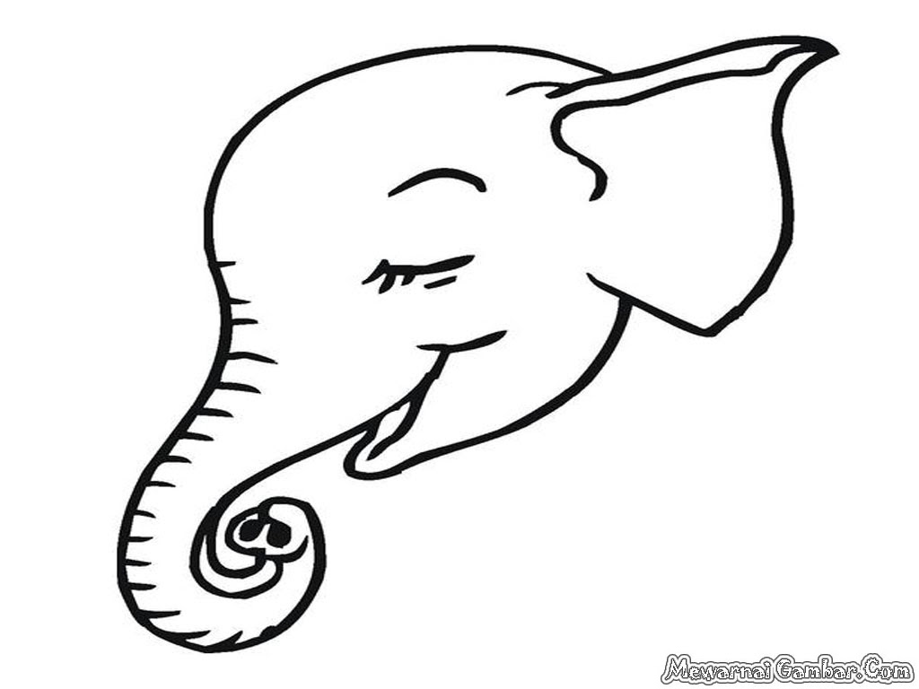 Sketsa Gambar Kepala Gajah Sobsketsa