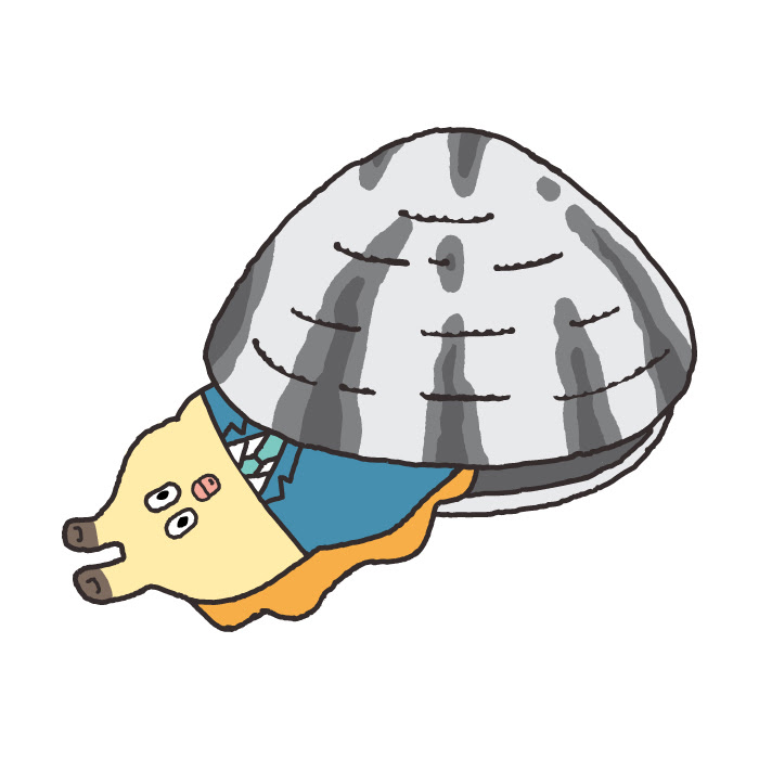 Japan Image 貝殻 イラスト 書き方