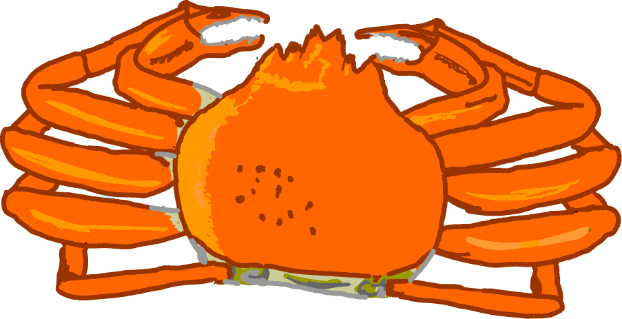 すべての動物の画像 ユニーク蟹 イラスト リアル