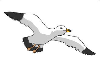 アニメ画像について トップ100鳥 Gif