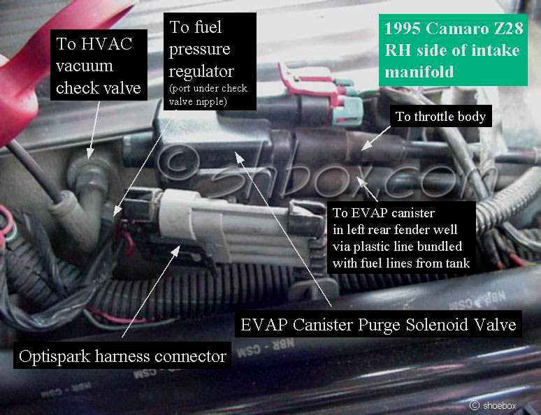 At the shop and also found the evap line running up across the bellhousing at the back of the engine to be leaking when the engine. Evap Canister Purge Solenoid Valve Delete And Air Delete Ls1tech Camaro And Firebird Forum Discussion