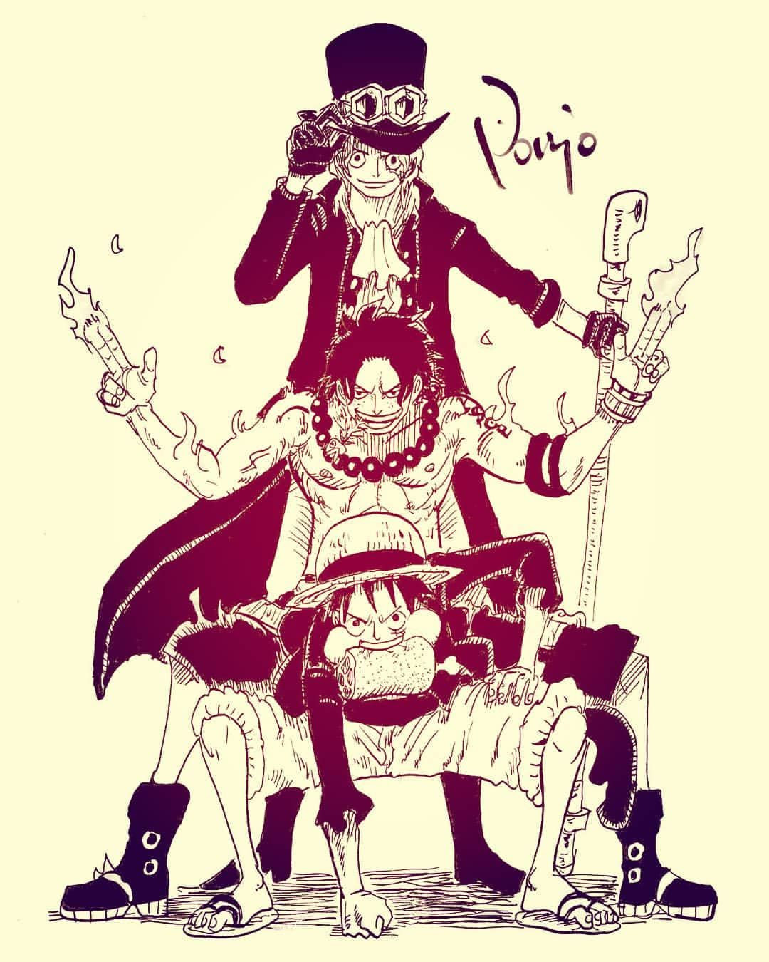 最高壁紙 One Piece ルフィ エース サボ 最高の花の画像