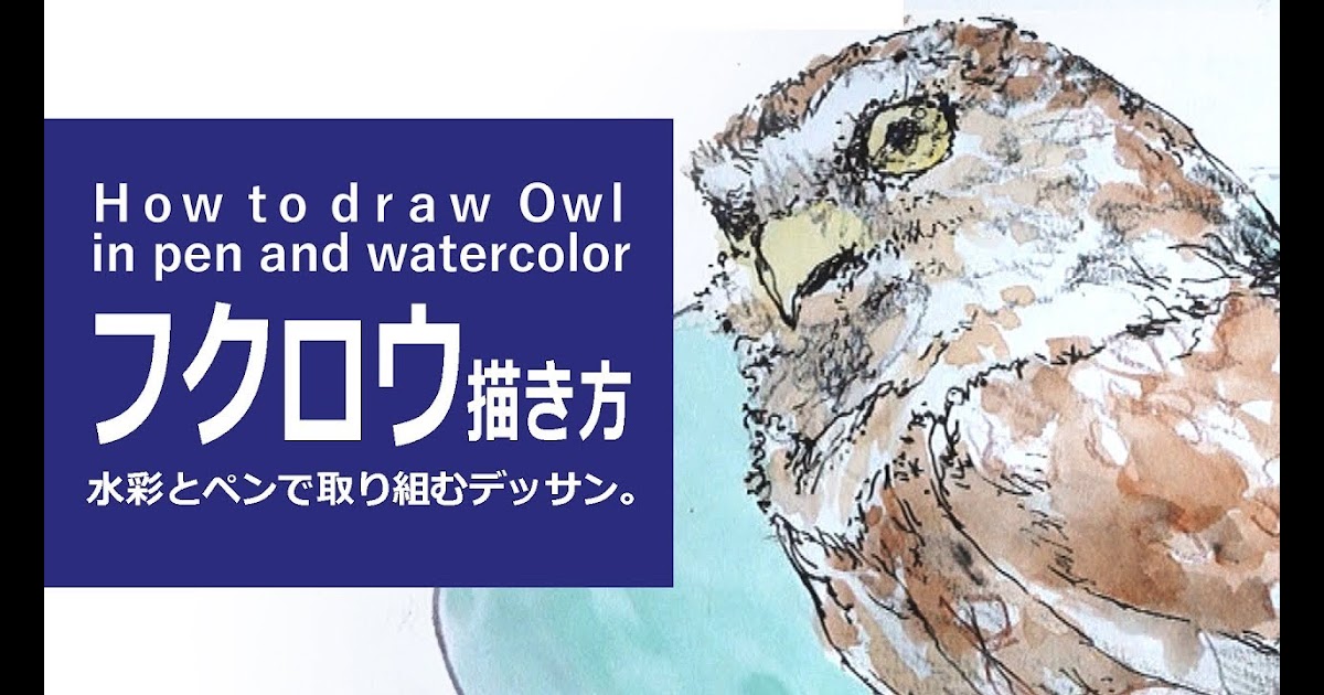 ベストセレクション フクロウ イラスト 描き方 イラスト素材